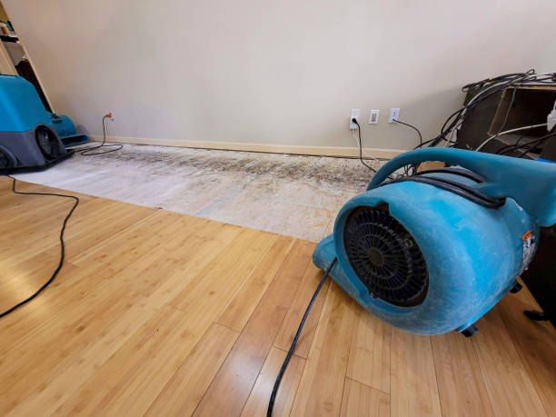 Professional Water Damage Repair technician working in Syracuse, OH